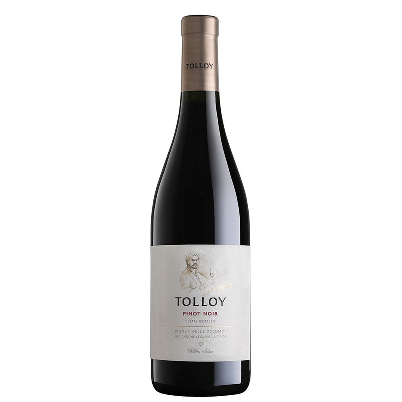 Tolloy | Pinot Noir - NV