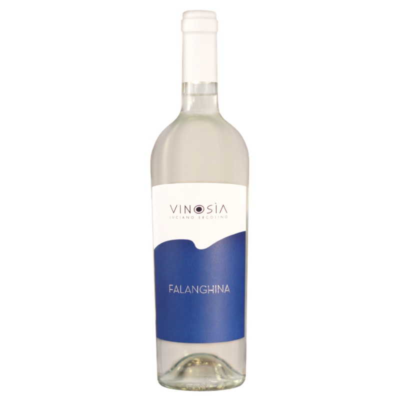 Vinosia | Falanghina Beneventano - NV