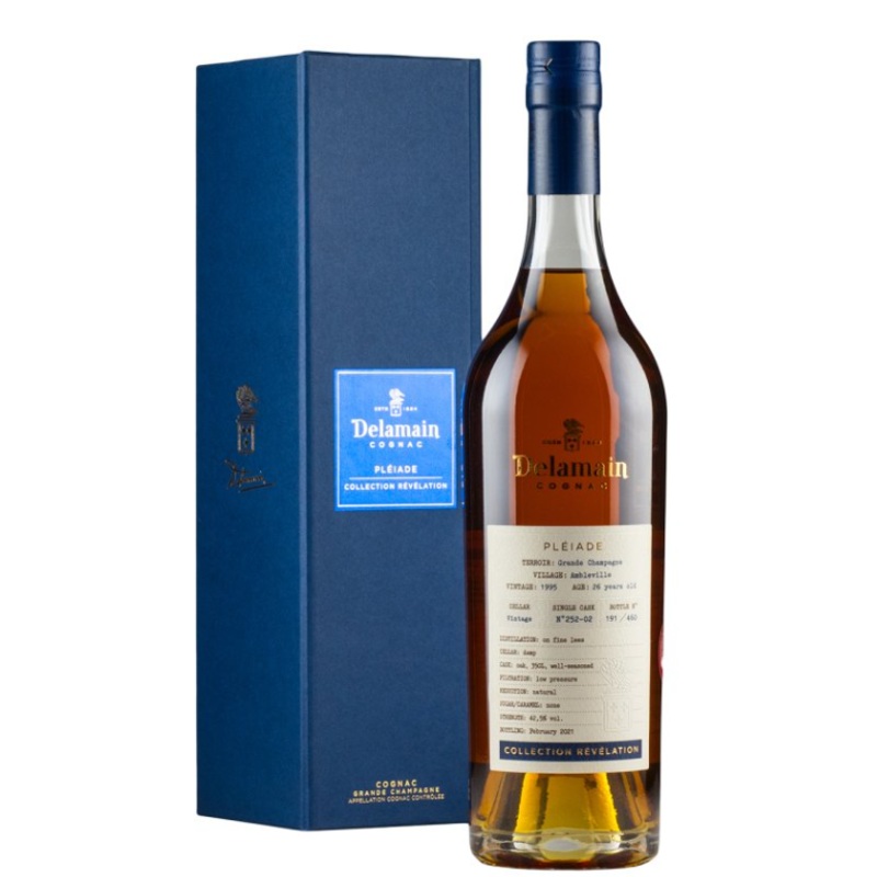 Delamain Pleiade Revelation Millesime Ambleville 1995 | 700ML